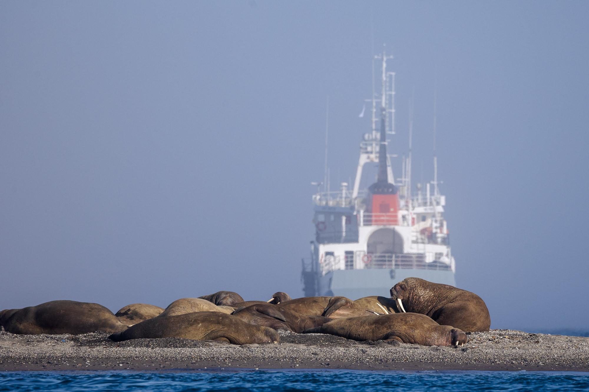 Les avantages du bateau