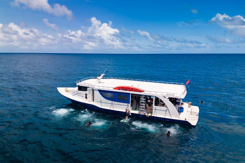 bateau pour plonger