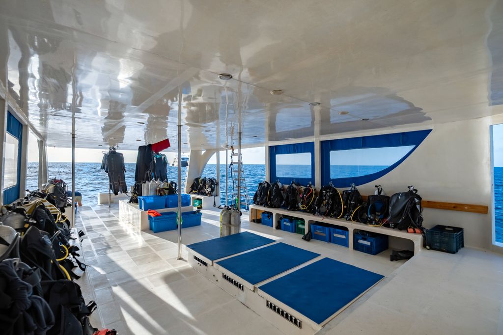 bateau pour plongée intérieur du bateau