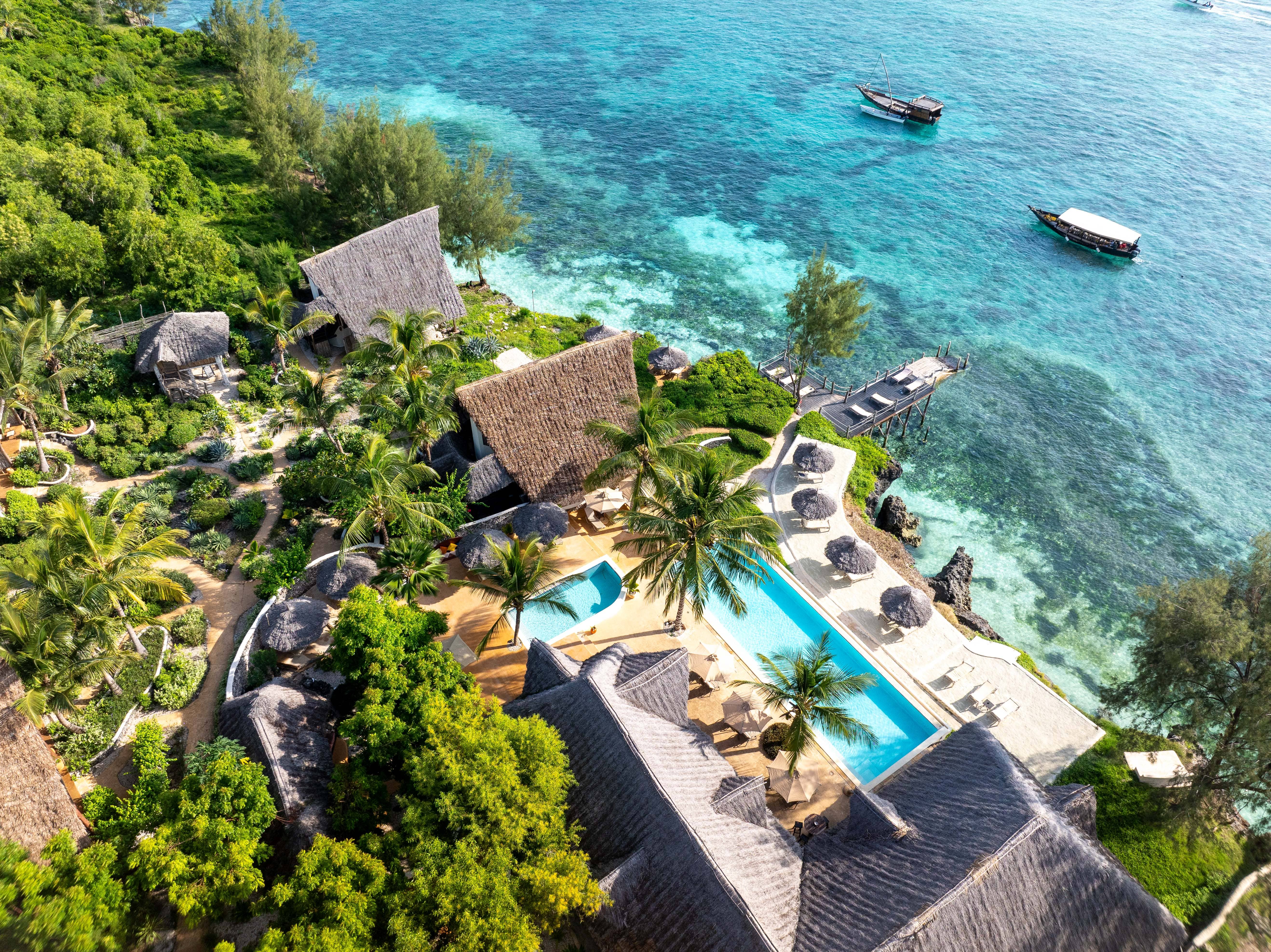 Plonger à Zanzibar : L'archipel aux épices et ses trésors subaquatiques