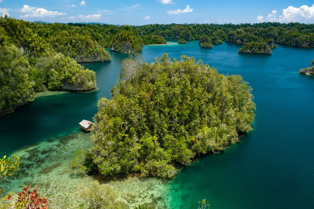 raja ampat nature