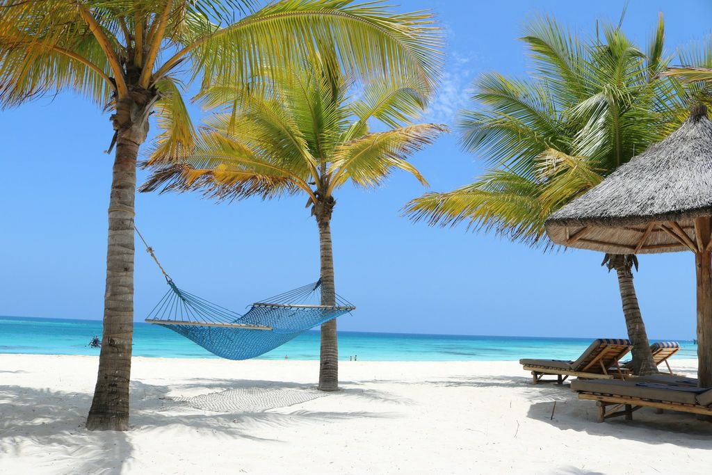 plage palmiers transat hamac