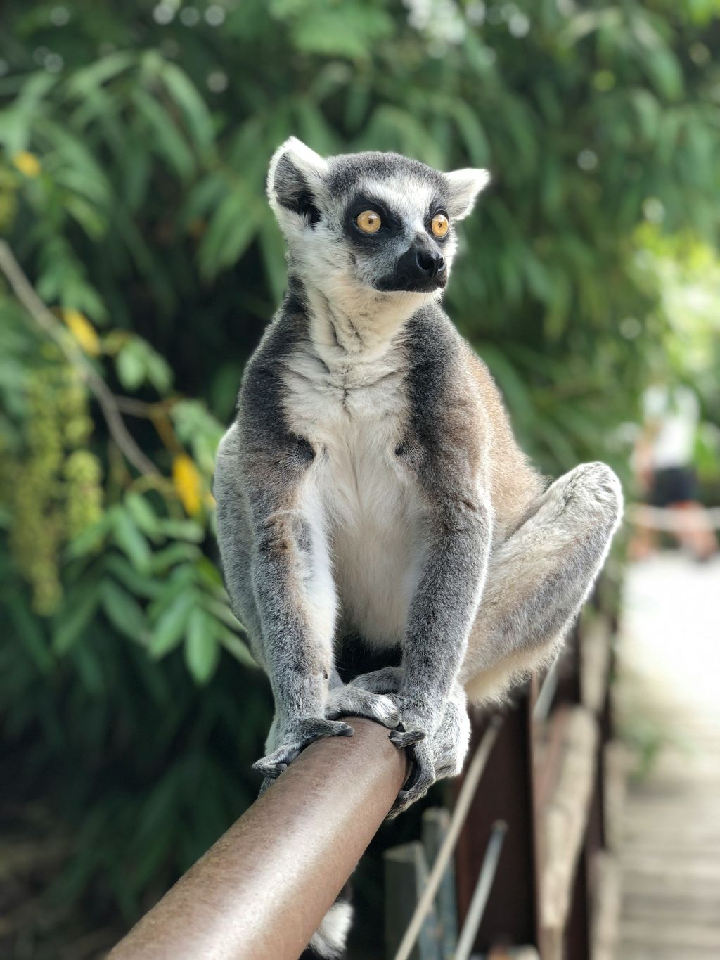 Madagascar, lagons & sentiers