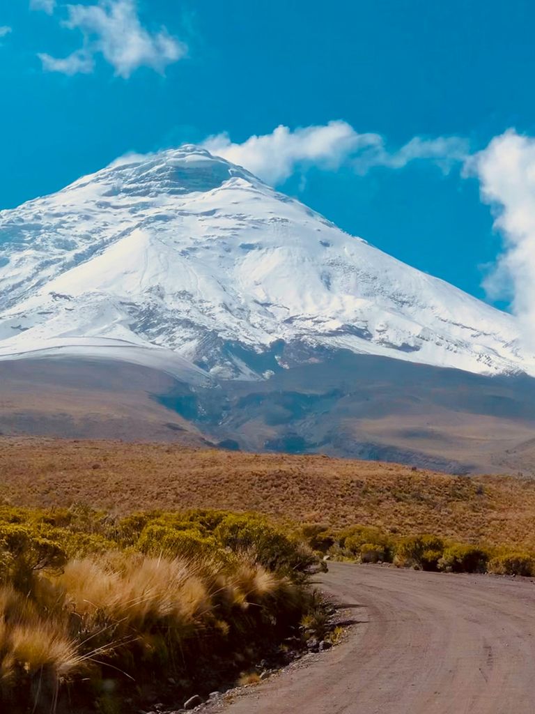 andes montagne