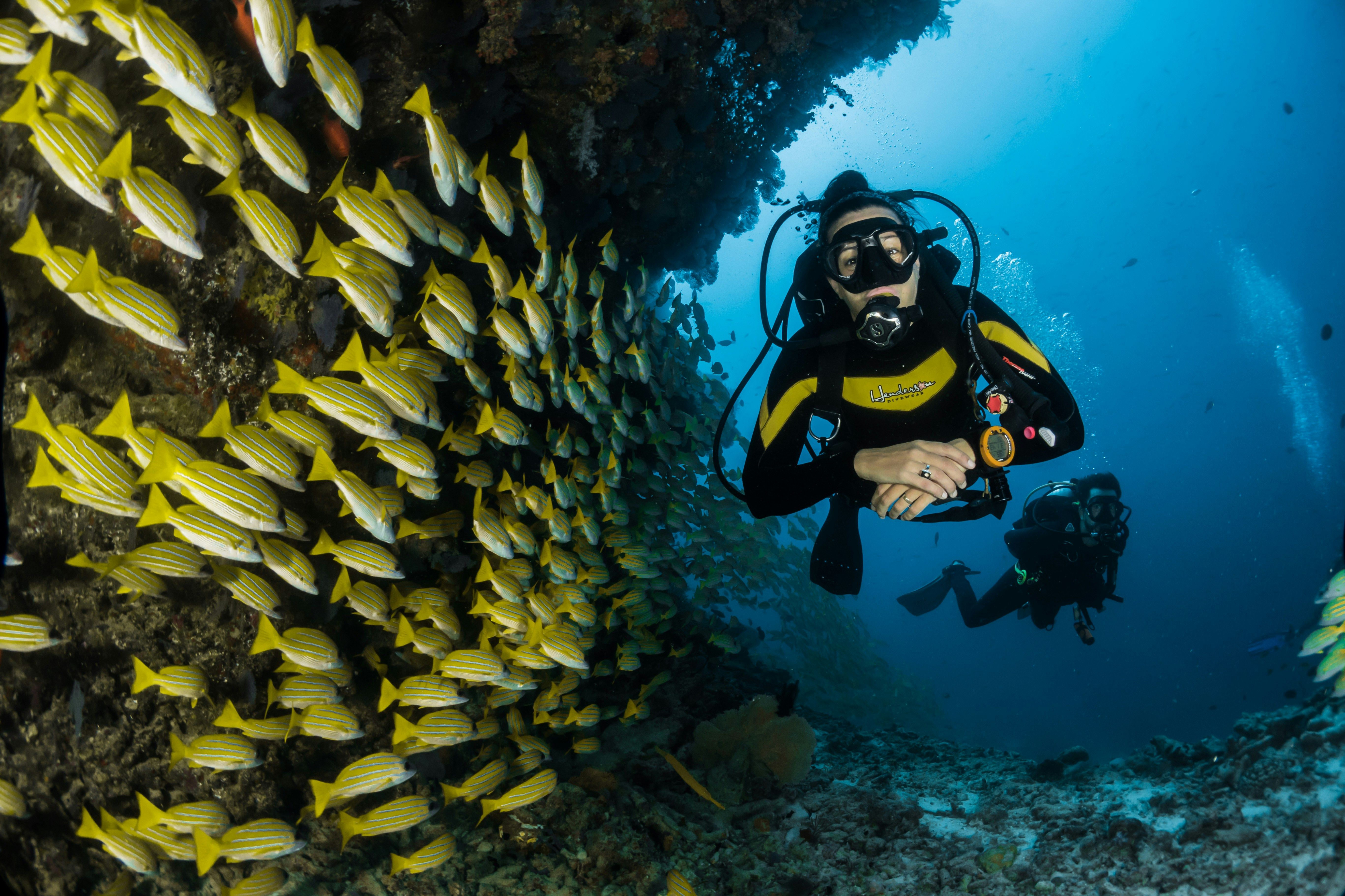 plongeur sous l'eau poisson