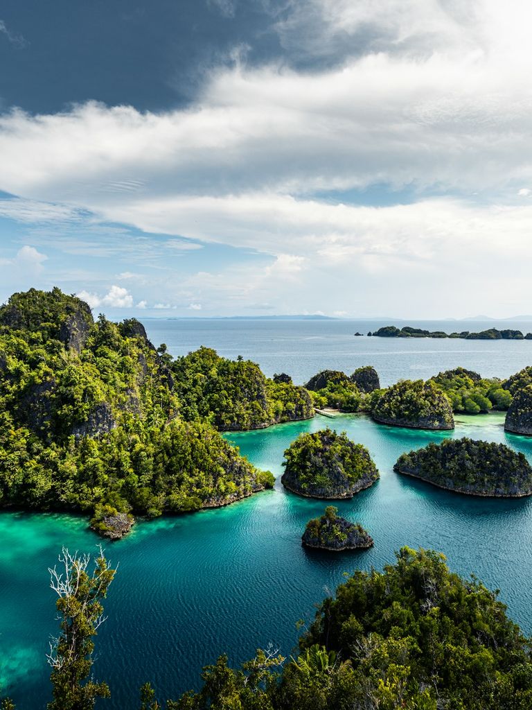 raja ampat archipels