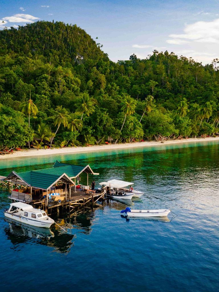 raja ampat biodiversity