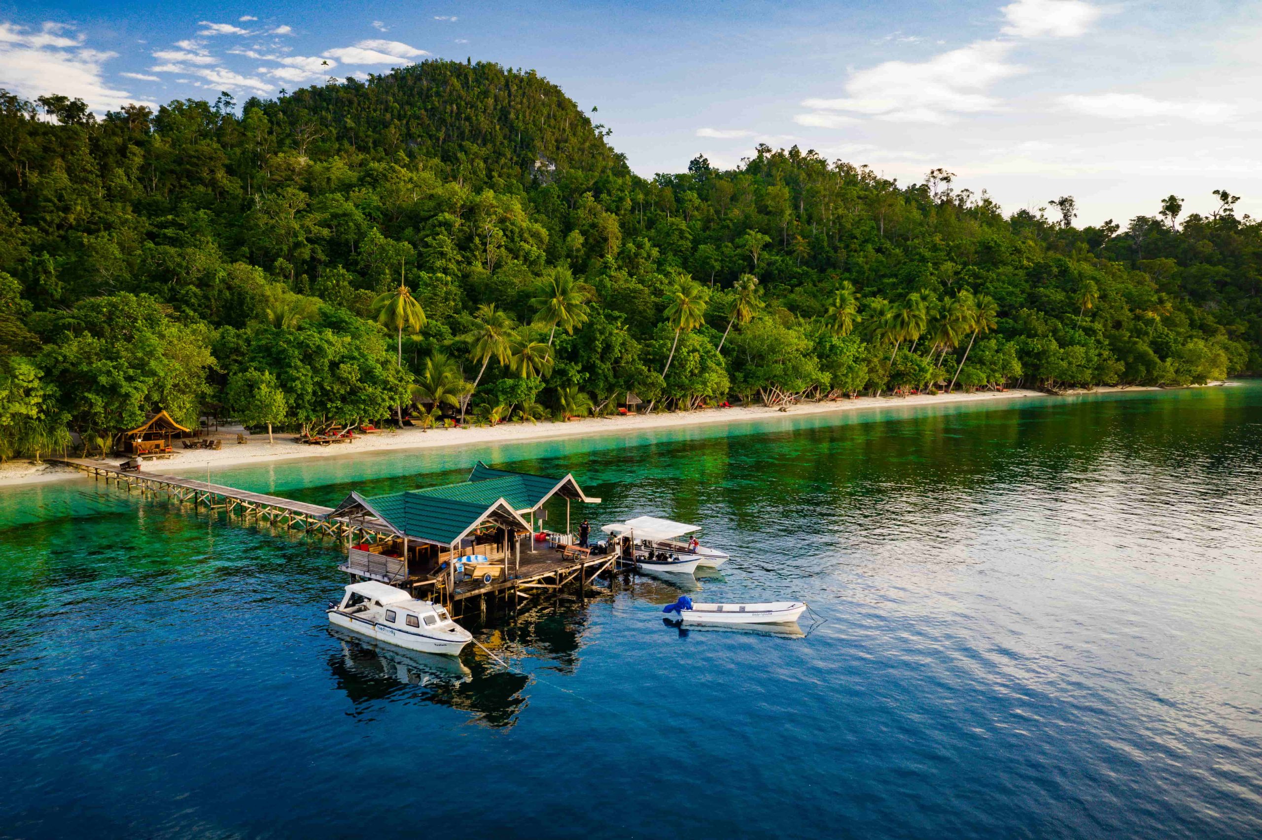raja ampat biodiversity