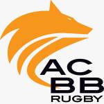 logo A C B B Boulogne Billancourt
