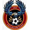 logo A. Culturelle Turque