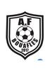 AF de Bouafles U13 1