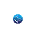 logo Angers Lac de Maine Handball