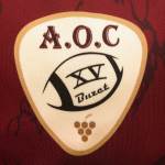 logo A S Olympique Club de Buzet