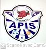 Apis Football U15 1
