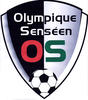 Arleux Fechain OS Seniors 1