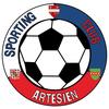 Artesien SC Seniors 1