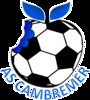AS Cambremer Seniors 1