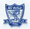 AS de Vesly U18 1
