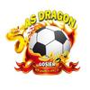 AS Dragon Seniors 1