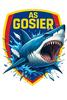 AS le Gosier Seniors 1