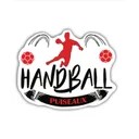 logo AS Puiseaux HB