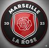 logo AS et Culturelle la Rose