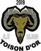ASd Toison D'or Seniors 1