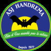 ASj. de Handrema U13 1
