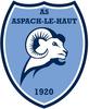 Aspach le Haut AS U13 1