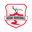 logo Assm Section Handball