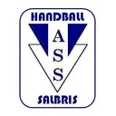 logo Association Salbris Sport Handball