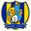 ASSV Seniors 2
