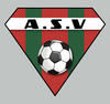 AV.S Violesien Seniors 1