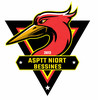 logo Asptt Niort - Bessines