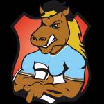 logo Baiona Zazpi