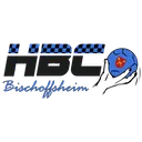 logo Bischoffsheim
