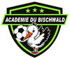 Bischwald U13 1