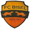 Bisel FC U19 1