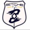 Bitche FC Seniors 1