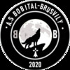 Bobital Brusvily AS Seniors 1