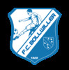 Bollwiller FC Seniors 1
