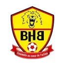 logo Bray Handball