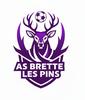 Brette les Pins AS Seniors 1
