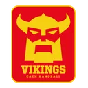 logo Caen Handball
