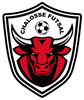 Chalosse Futsal Seniors Futsal 1
