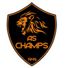 Champs S/marne Foot U16 1