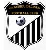 Chassieu Decines FC Seniors 1