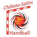 logo Chateau Salins