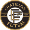 Chatillon Foot Salle Seniors Futsal 1