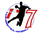 logo Club Olympique Multisports D'argenteuil Handball